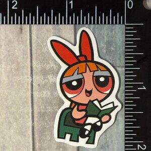 🌀10/$10🌀 Powerpuff Girls Reusable Waterproof Vinyl Sticker Decal